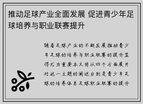 推动足球产业全面发展 促进青少年足球培养与职业联赛提升